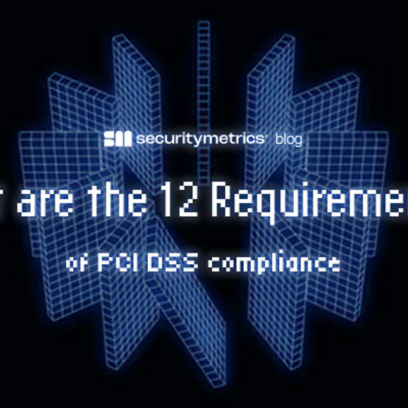 What are the 12 Requirements of PCI DSS Compliance?