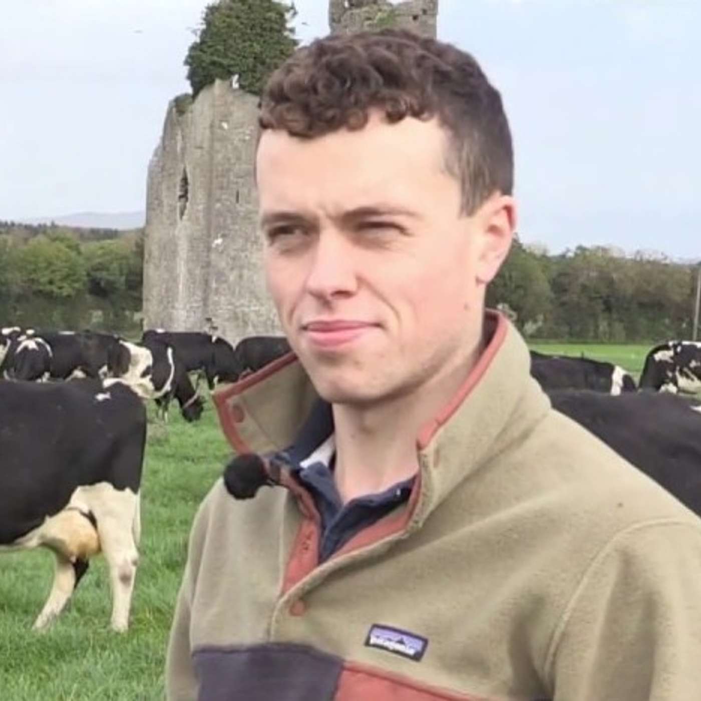 Future Farmer, David Fennelly, on his calving & grazing management