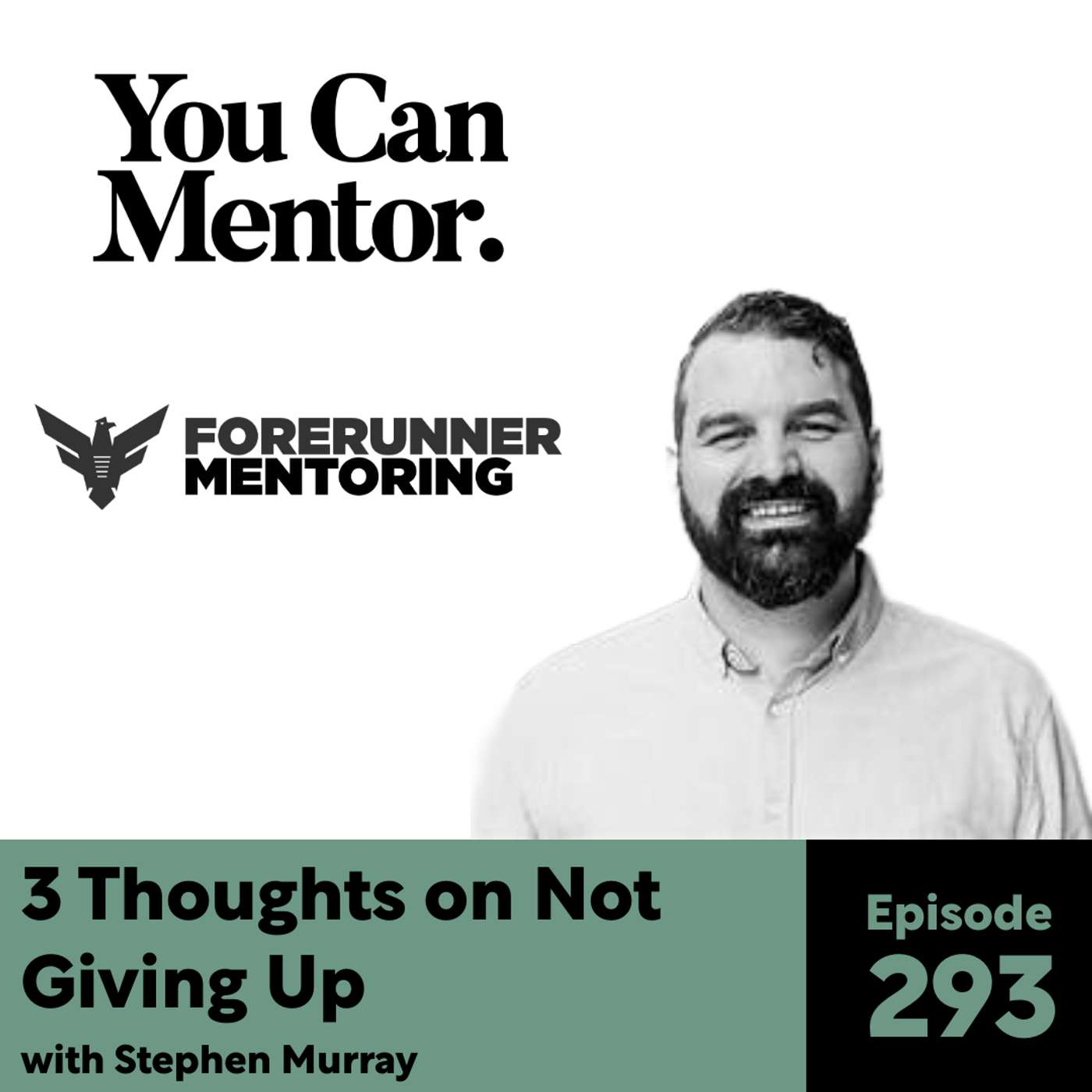 293. 3 Thoughts on Not Giving Up with Stephen Murray