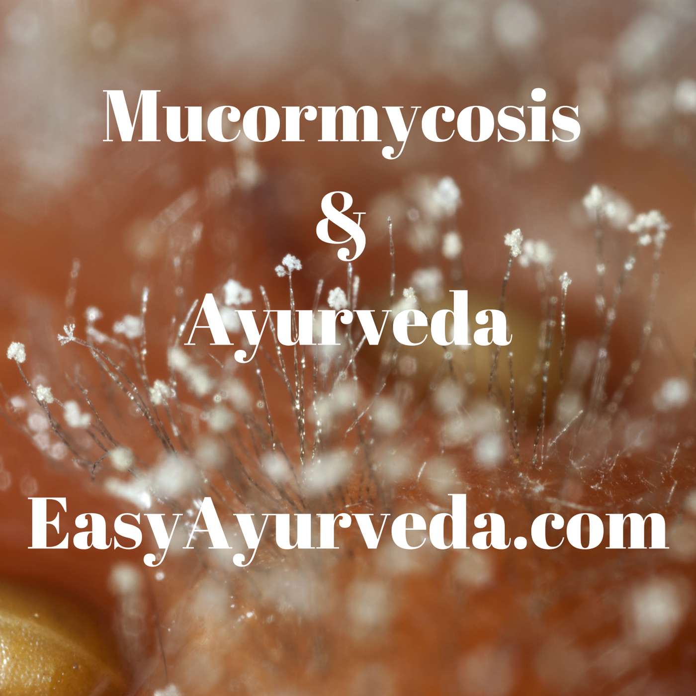 Ayurvedic Treatment For Mucormycosis - Dr Rajnikant Patel episode artwork