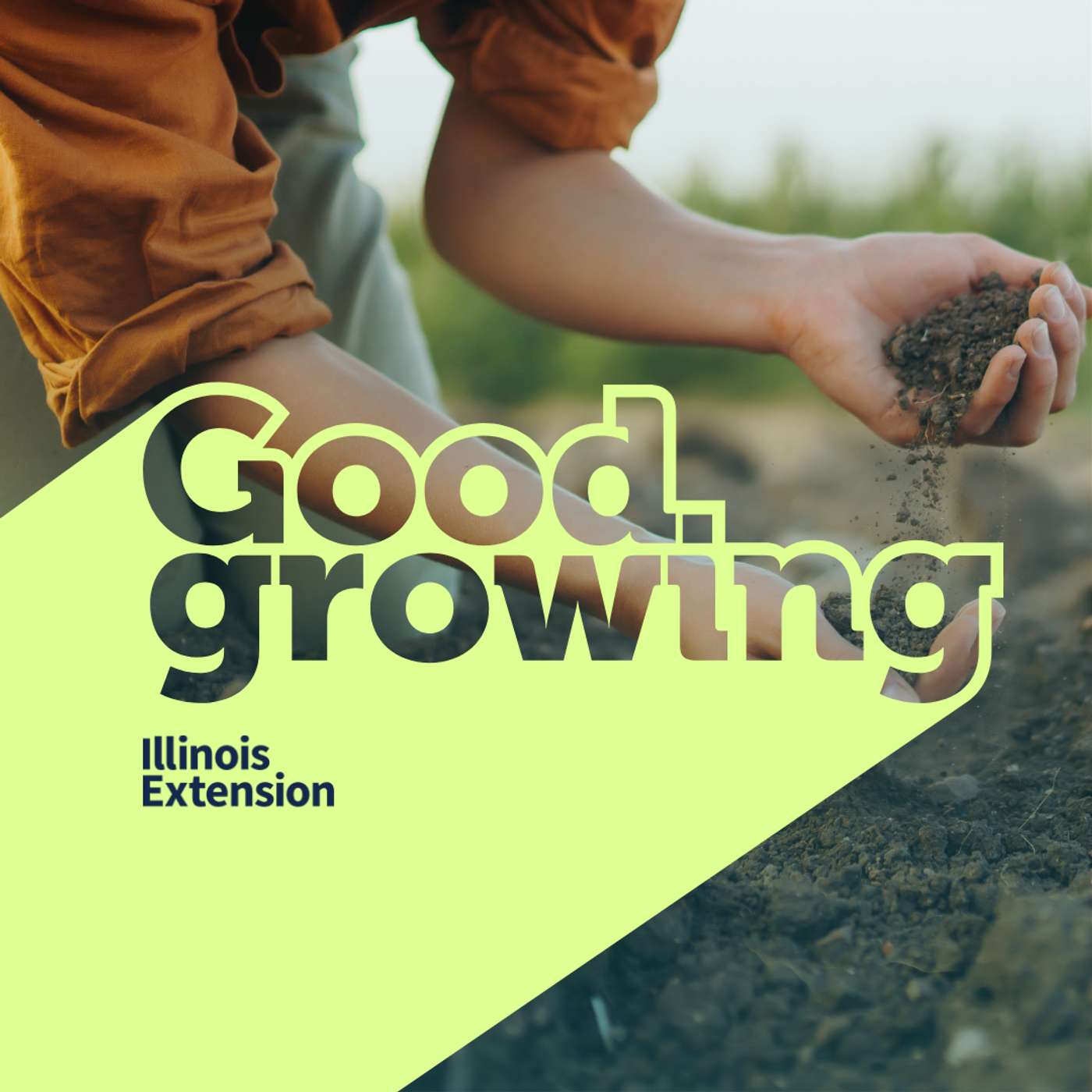 Ep. 204 Decoding Soil Test Results: What those numbers really mean | #GoodGrowing