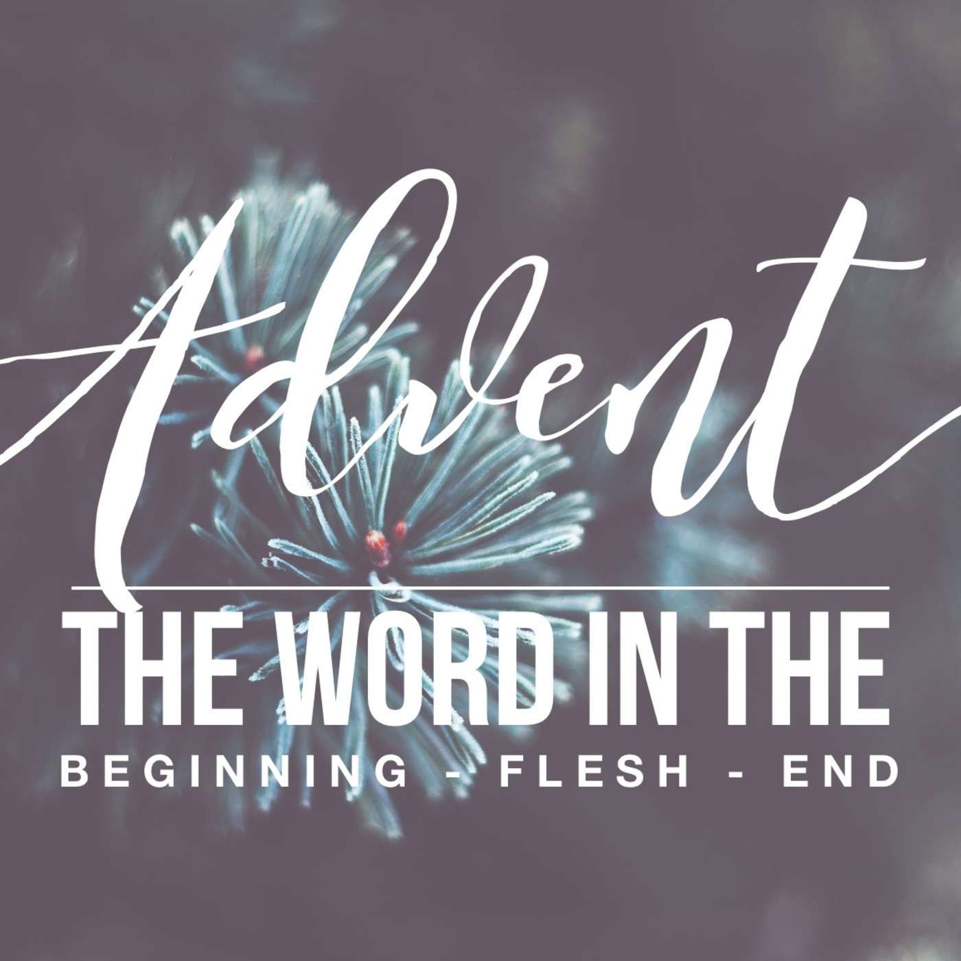 Advent: The Word in the Beginning episode artwork
