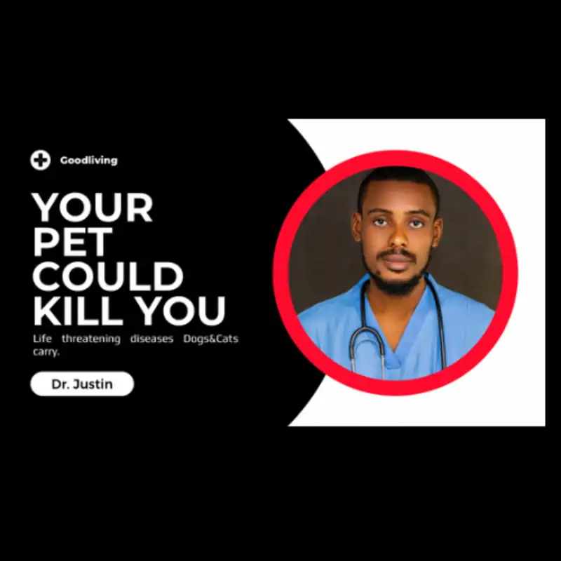How your daily meat supply can sicken you | Dr Justin Gbayange