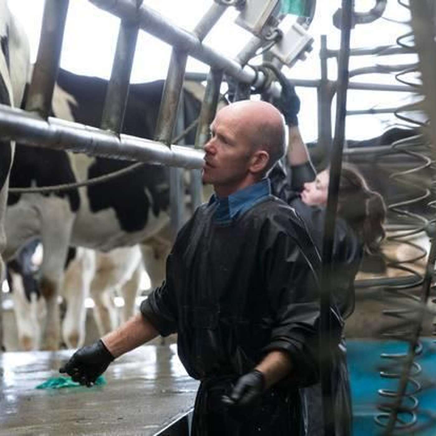 Insights and advice from Milk Quality award winners John & Brendan Walsh