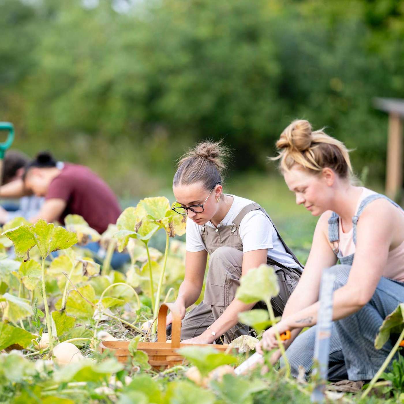 Turning waste into wellbeing, wildlife, food and forests: Bringing permaculture to schools with Elliot Riley