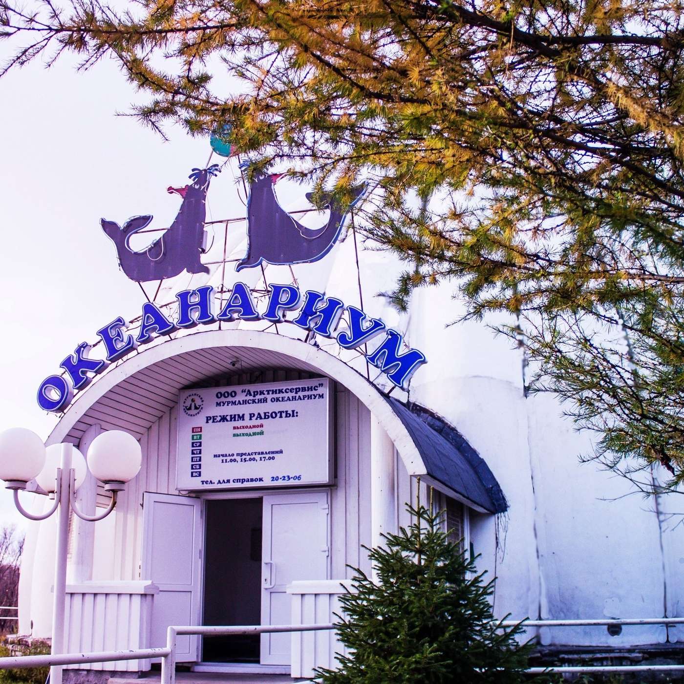 Животные остаются. Проблемы тоже.