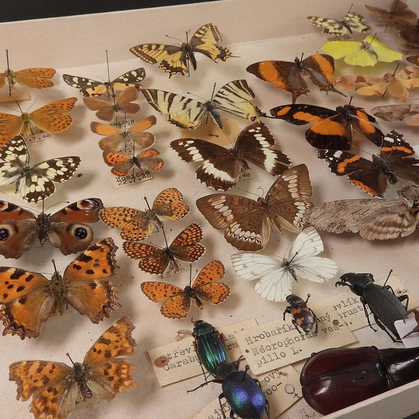 Refactoring 038: Reifying Collections for Type Safety Refactoring 038: Reifying Collections for Type Safety