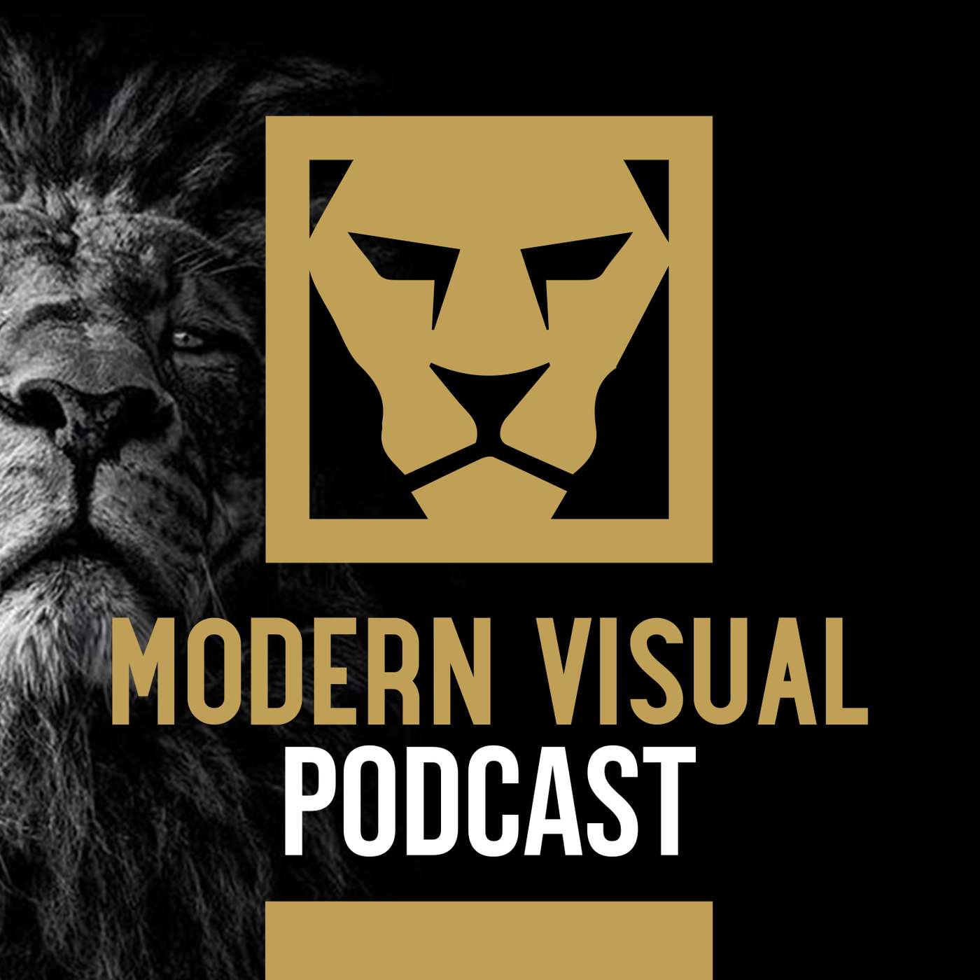 Modern Visual Podcast podcast artwork