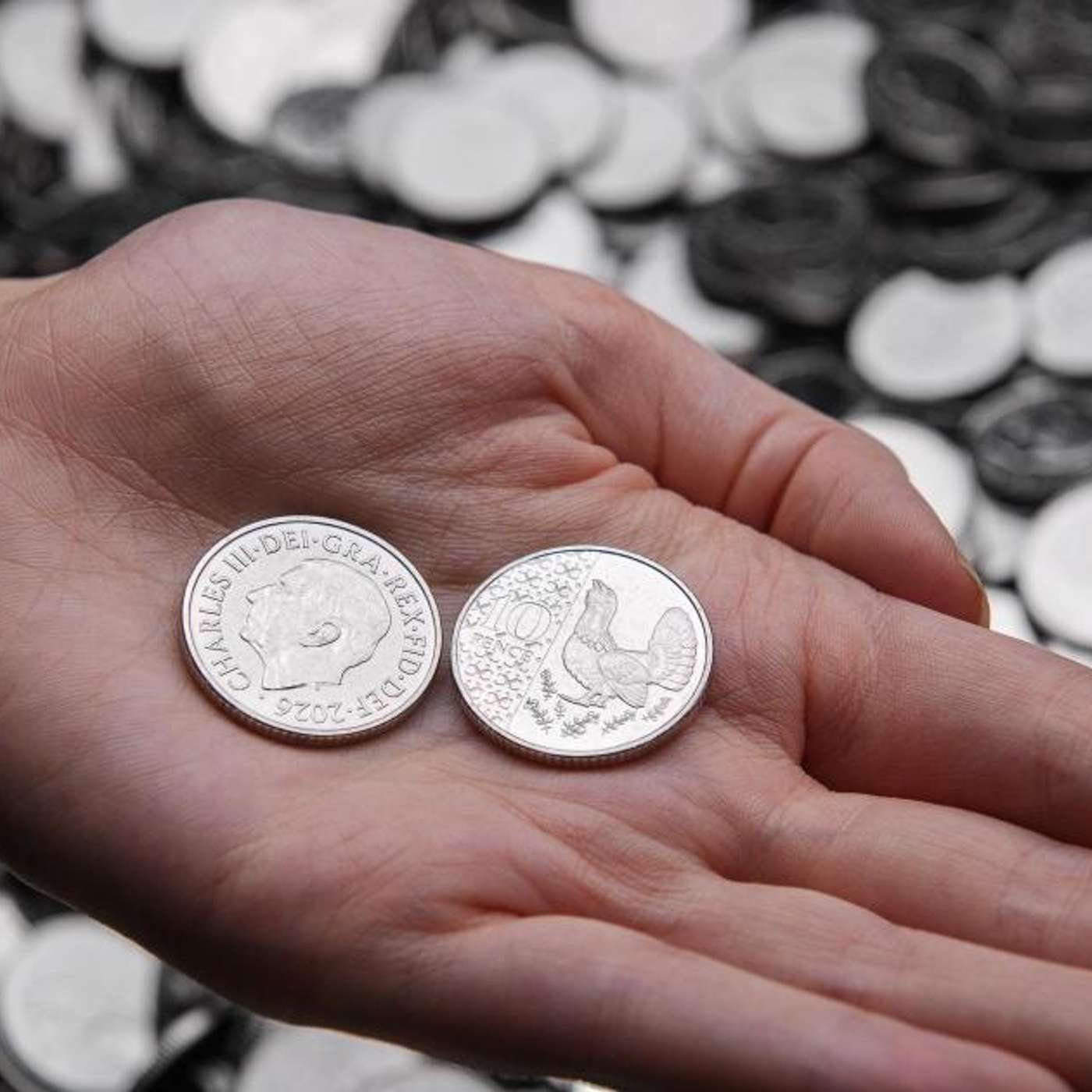 King Charles Wildlife Coins Enter Circulation, Energy Bills Spark Surge, Whitbread Reshapes with Job Cuts, Parade Ruling Sparks Reform Calls, and more... episode artwork