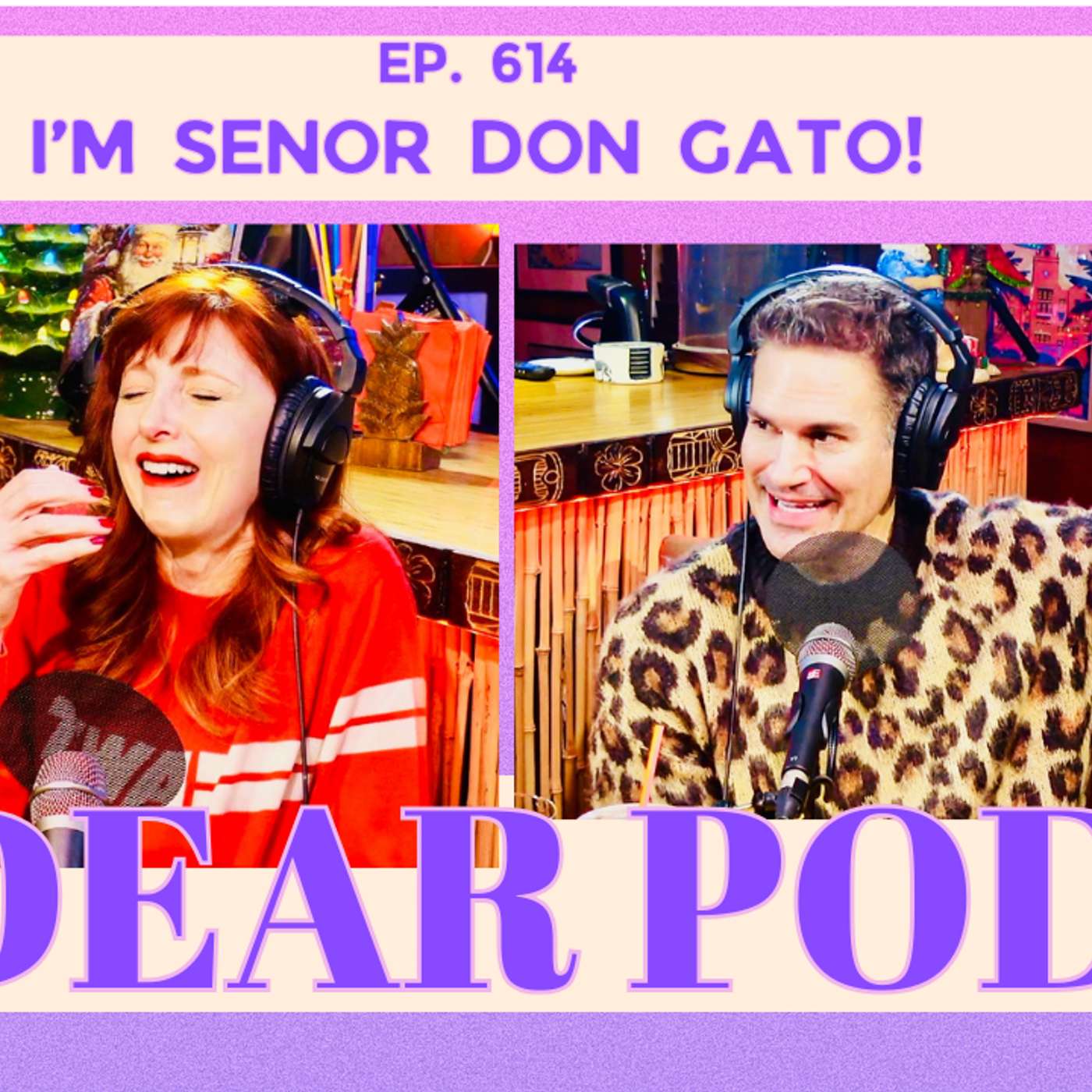 I'M SEÑOR DON GATO!