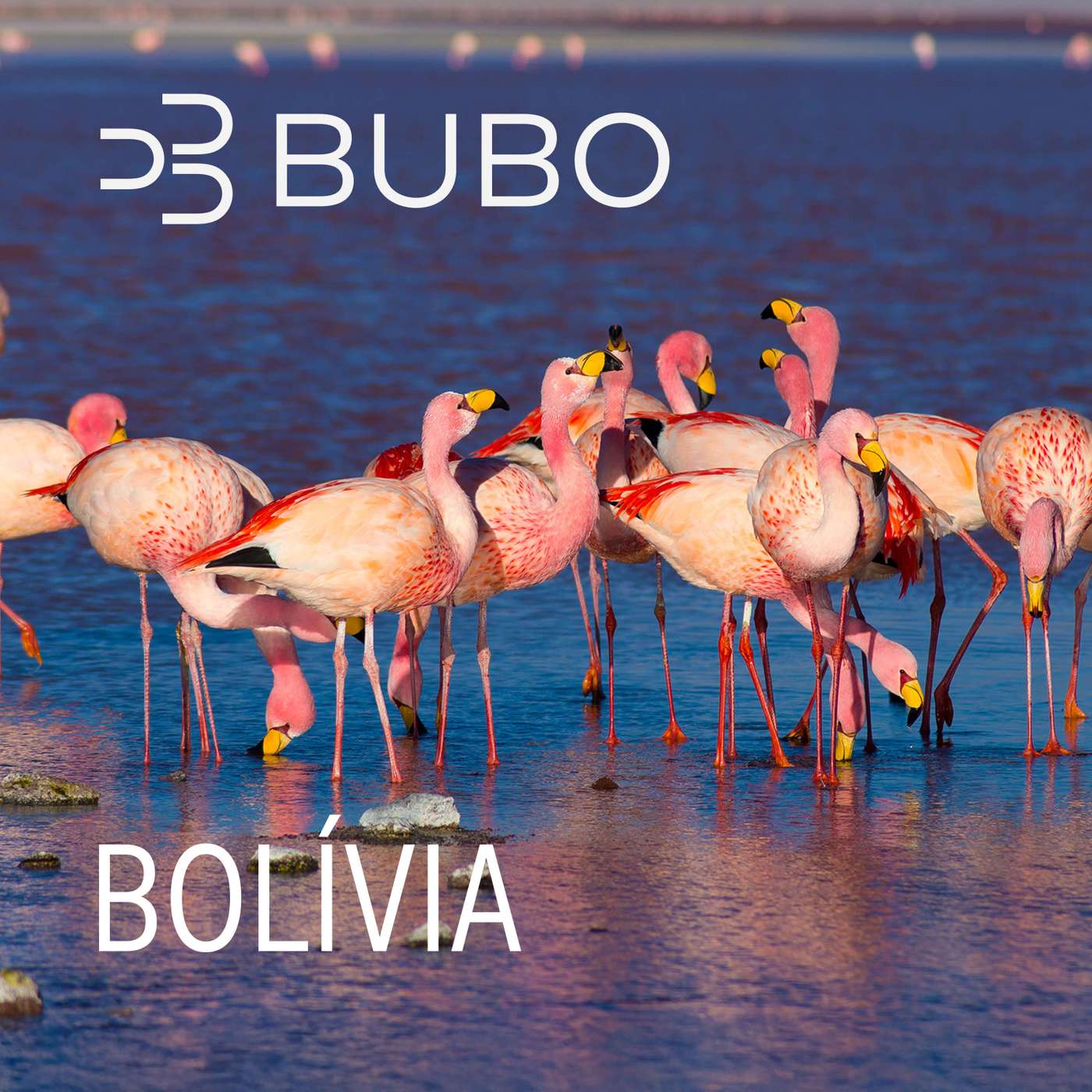 Bolívia: krajina lítia, hrdzavých vlakov a prírodných zážitkov, ktoré vytiahnu každého zo zóny komfortu