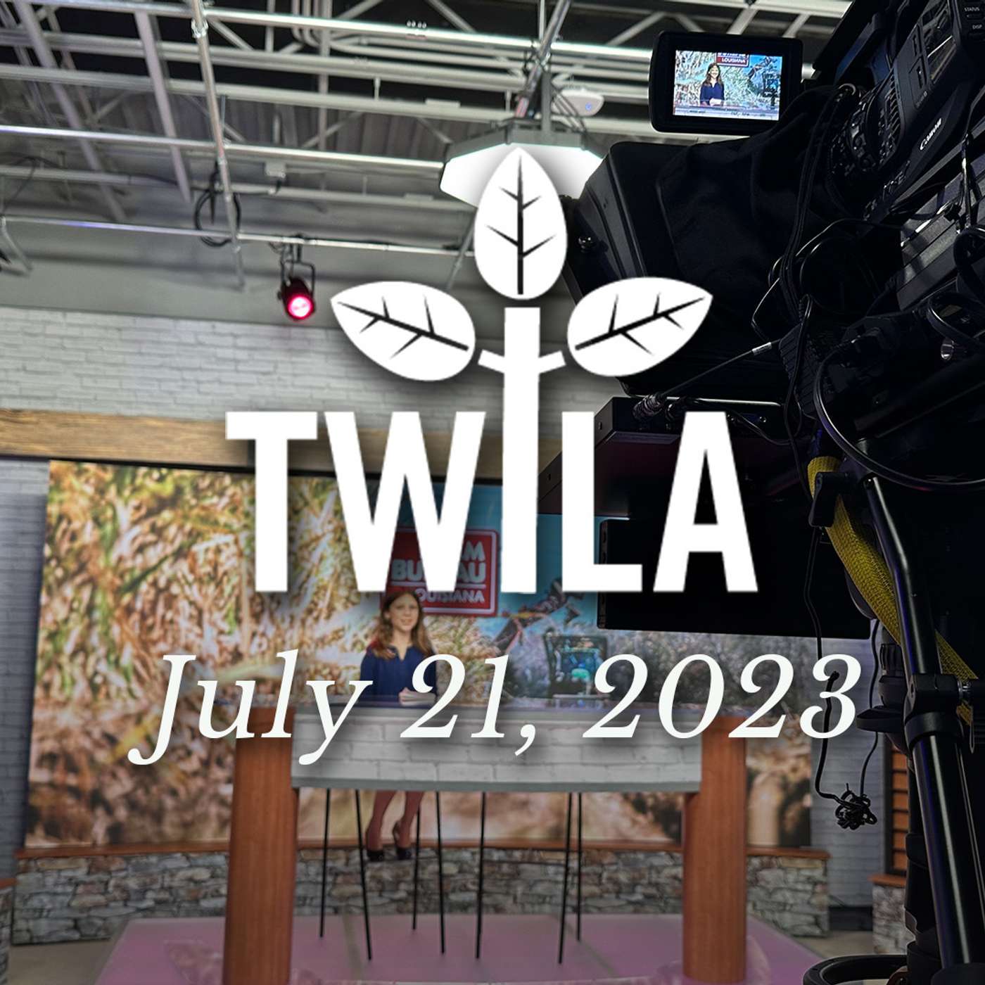 TWILA 7-21-23 episode artwork