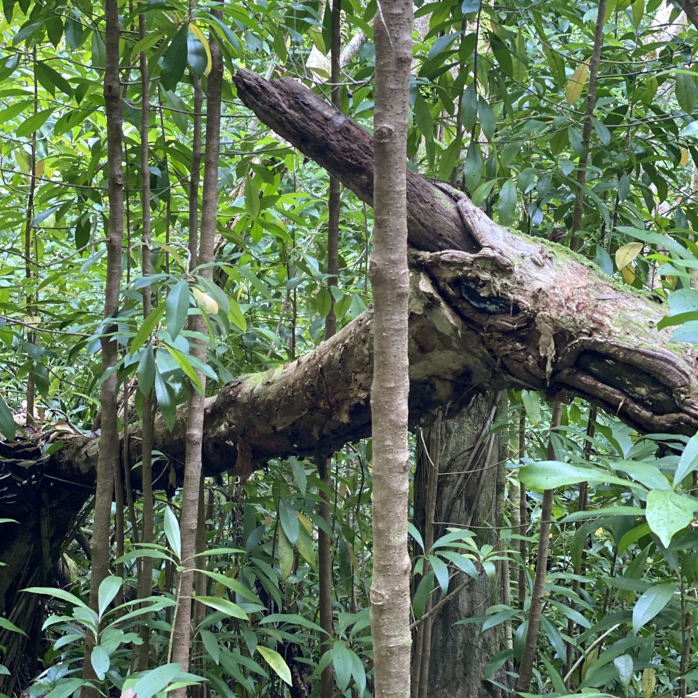 Back to the ’80s: 1984, Pop Culture & the Birth of Surveillance Society