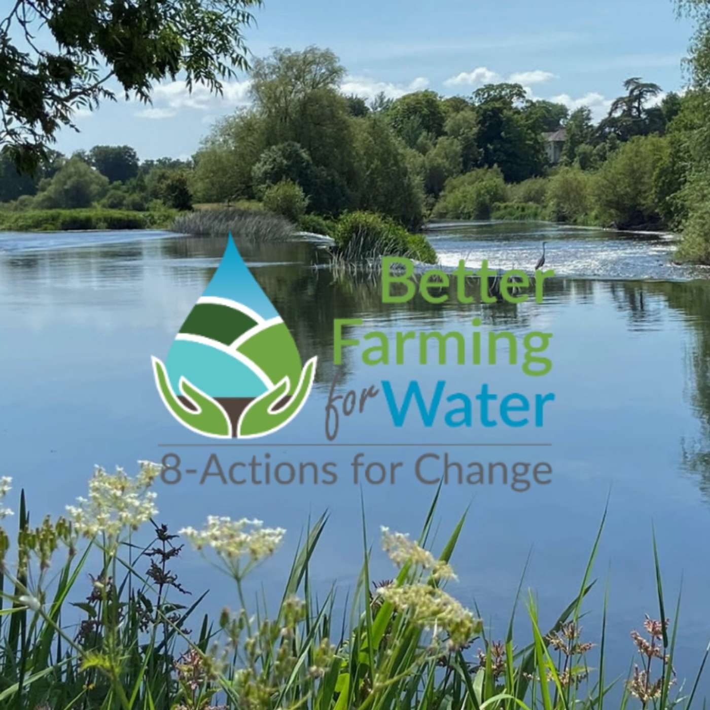 The Environment Edge