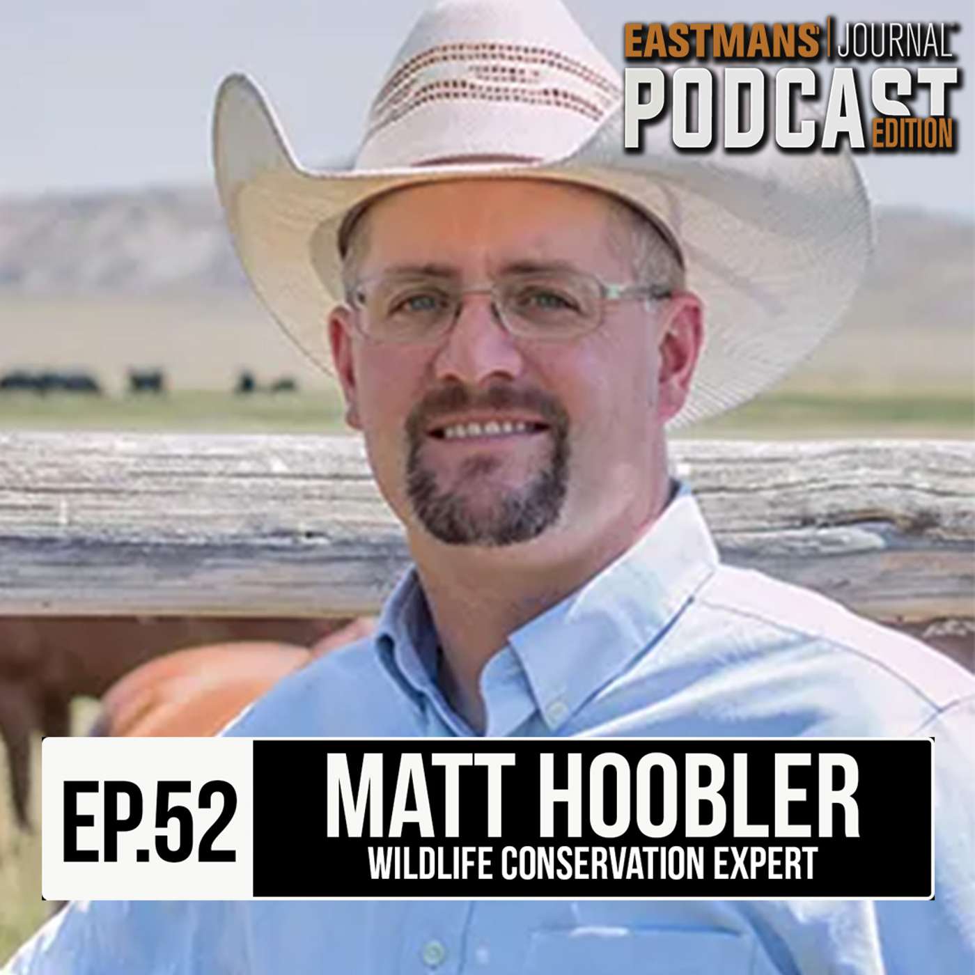 Wyoming Big Horn Sheep Conservation with Matt Hoobler episode artwork