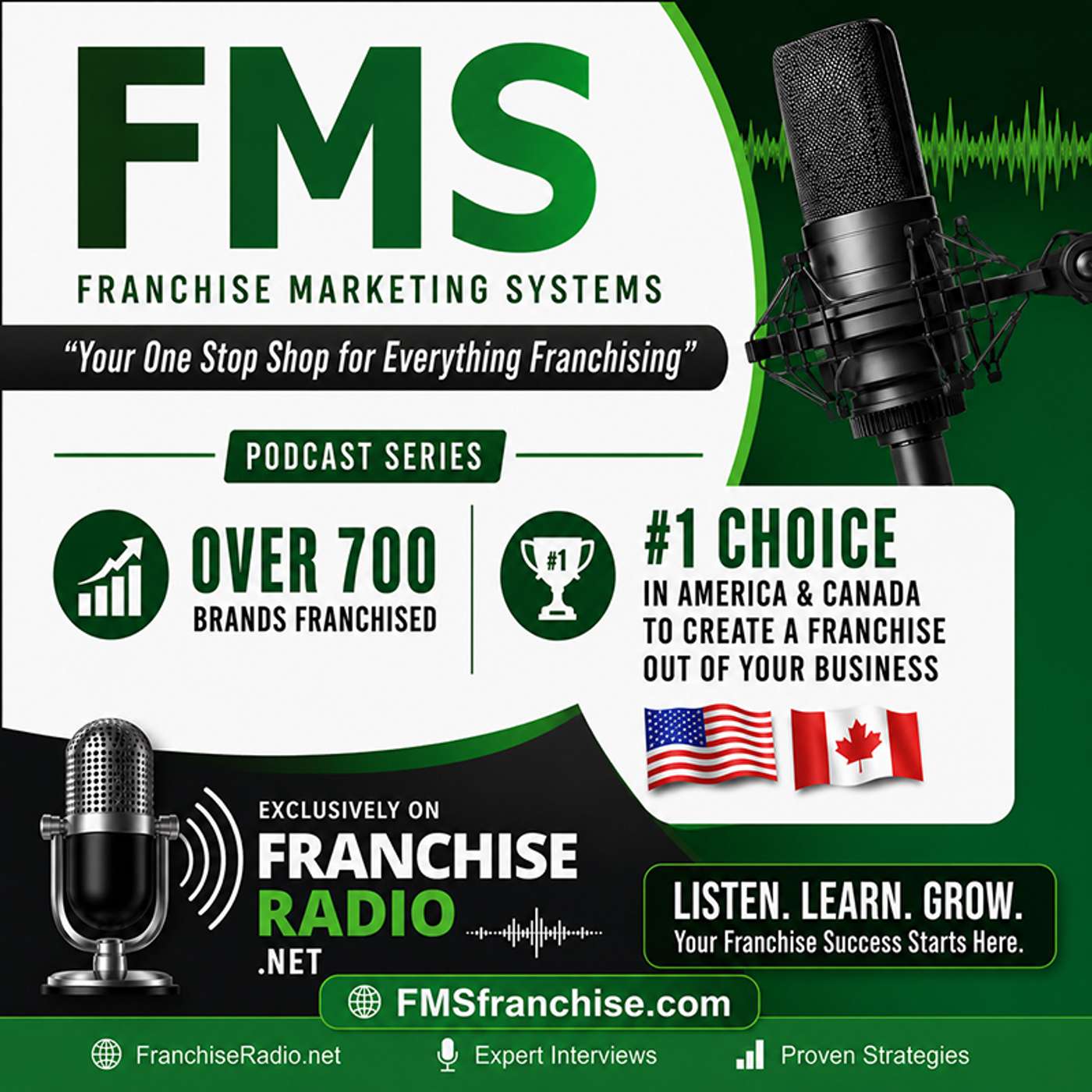 Artwork for Franchise Marketing Systems
