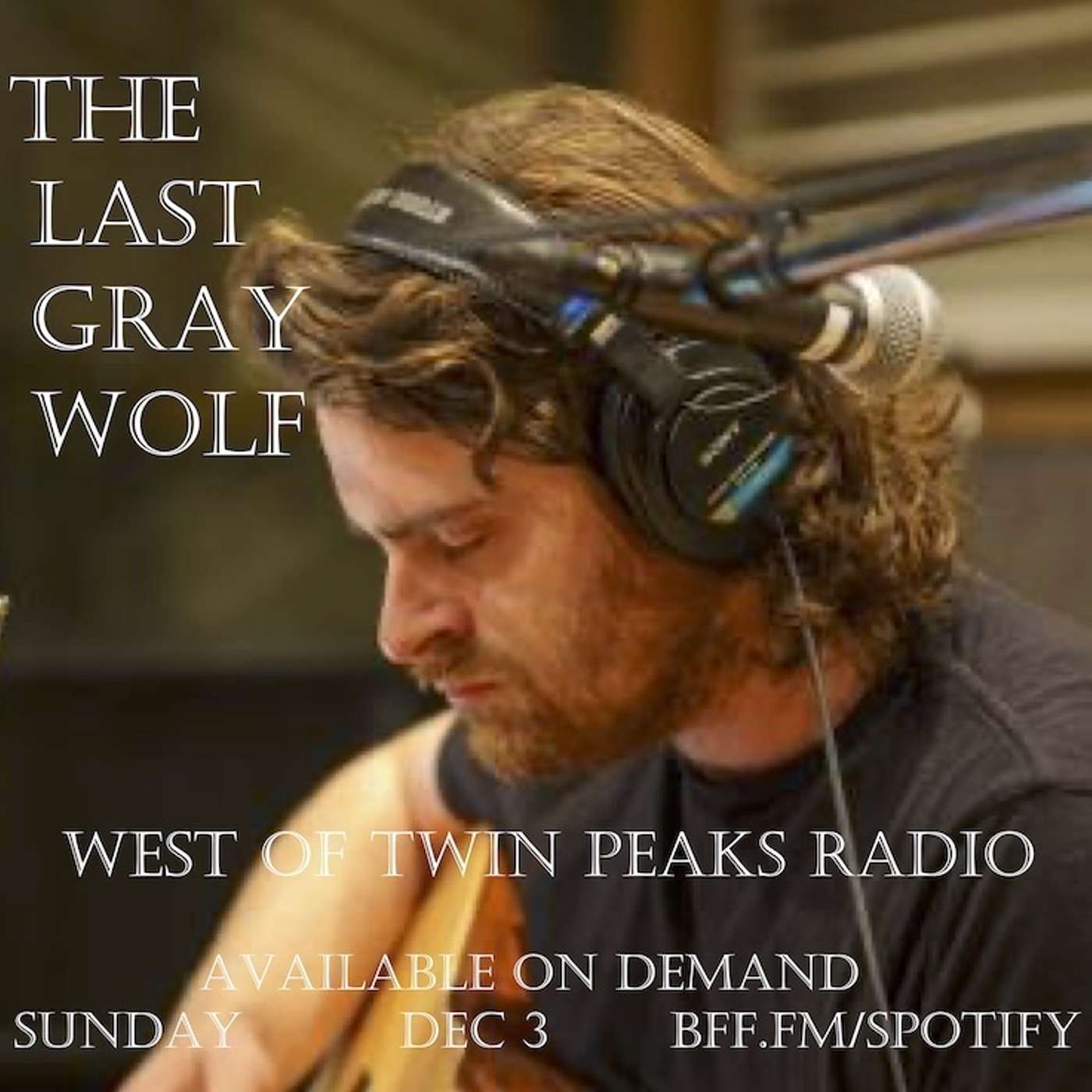 #194 feat The Last Gray Wolf episode artwork