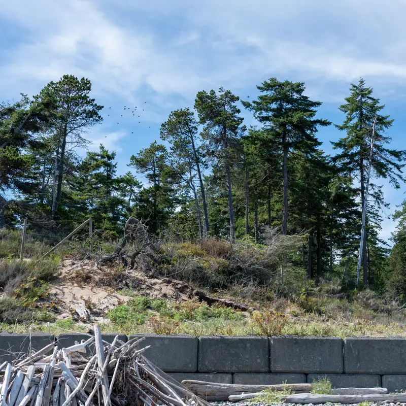 Comox advances 721 Lazo Road rezoning with two conditions