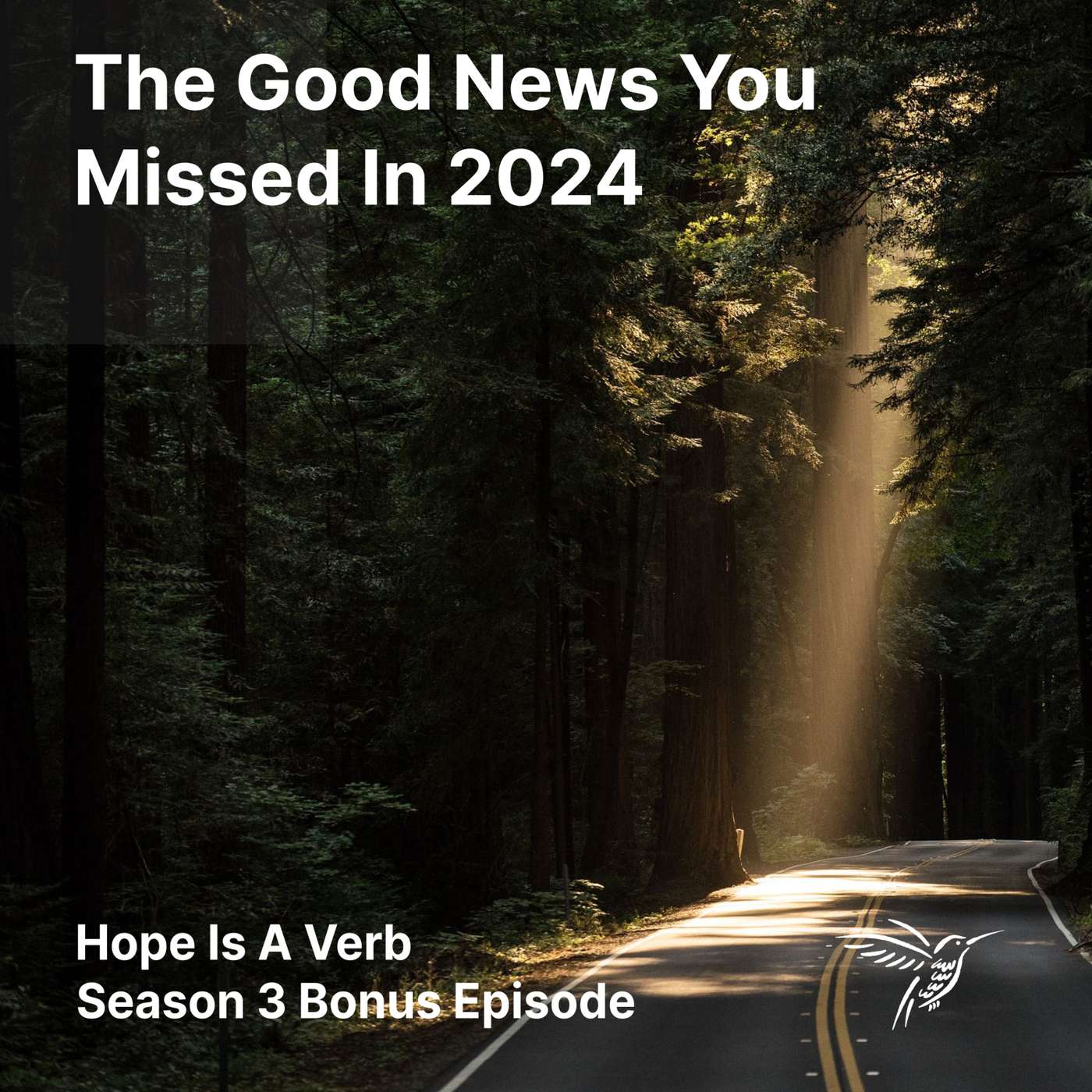 The Good News You Missed In 2024