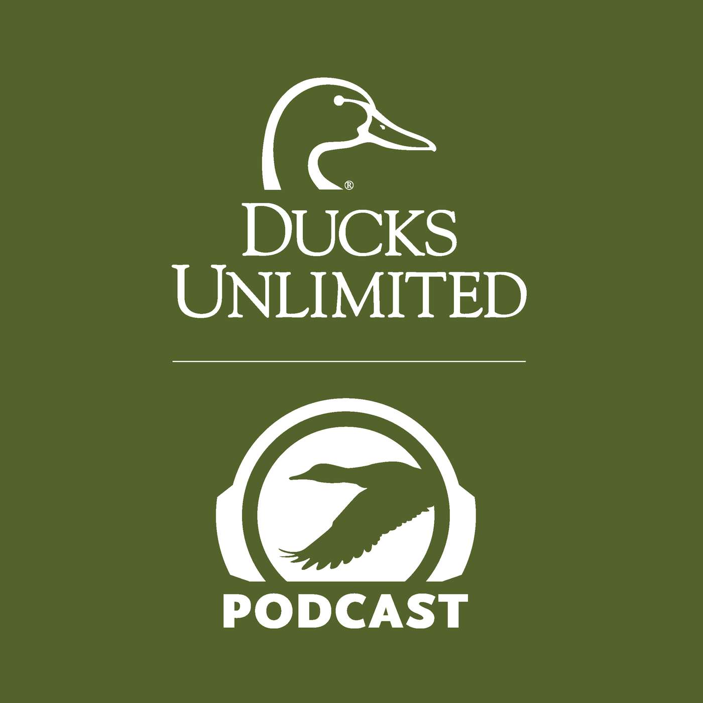 Ep. 738 - How Mark McNair Turns Wood into Working Waterfowl Art