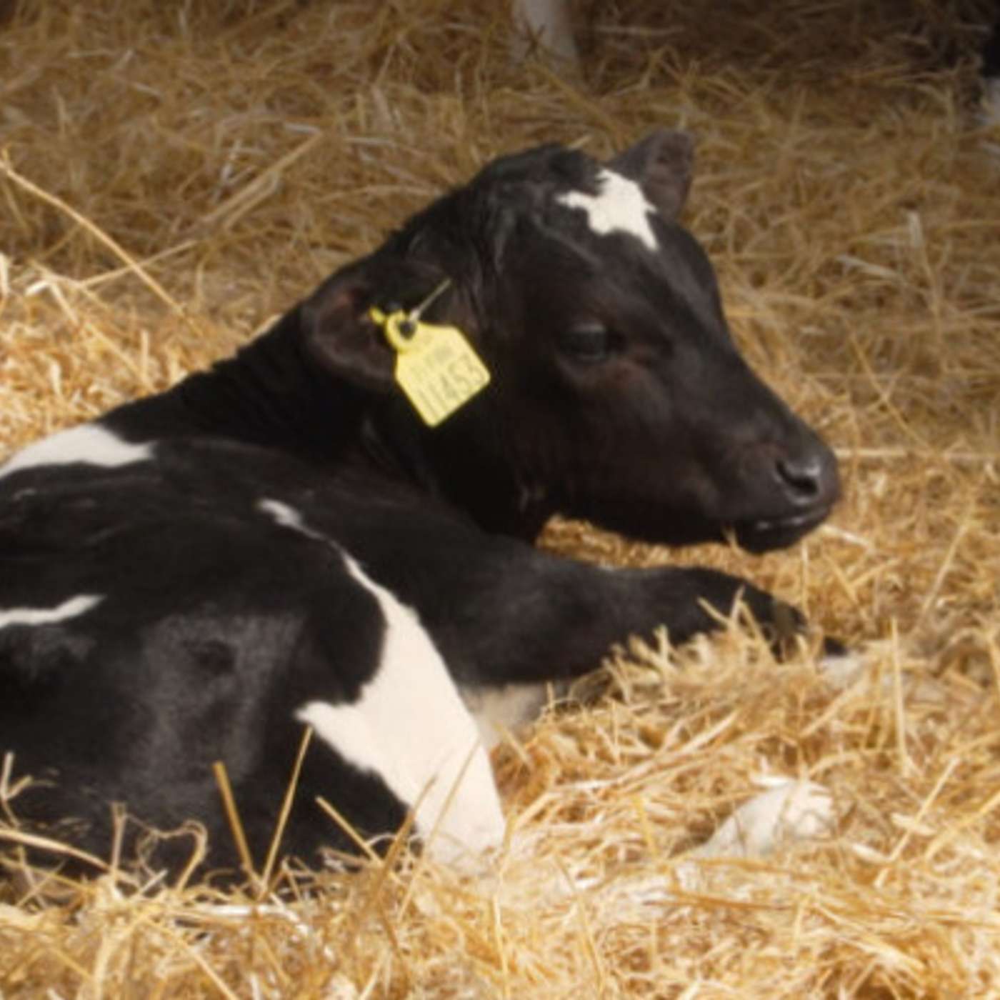 How to minimise workload and reduce stress during the busy spring period