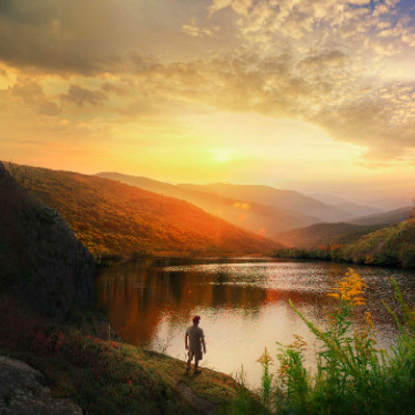 Biz Whip Podcast Show