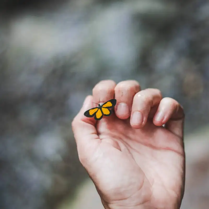 You may say I'm a DREAMER... but I'm not the only one!