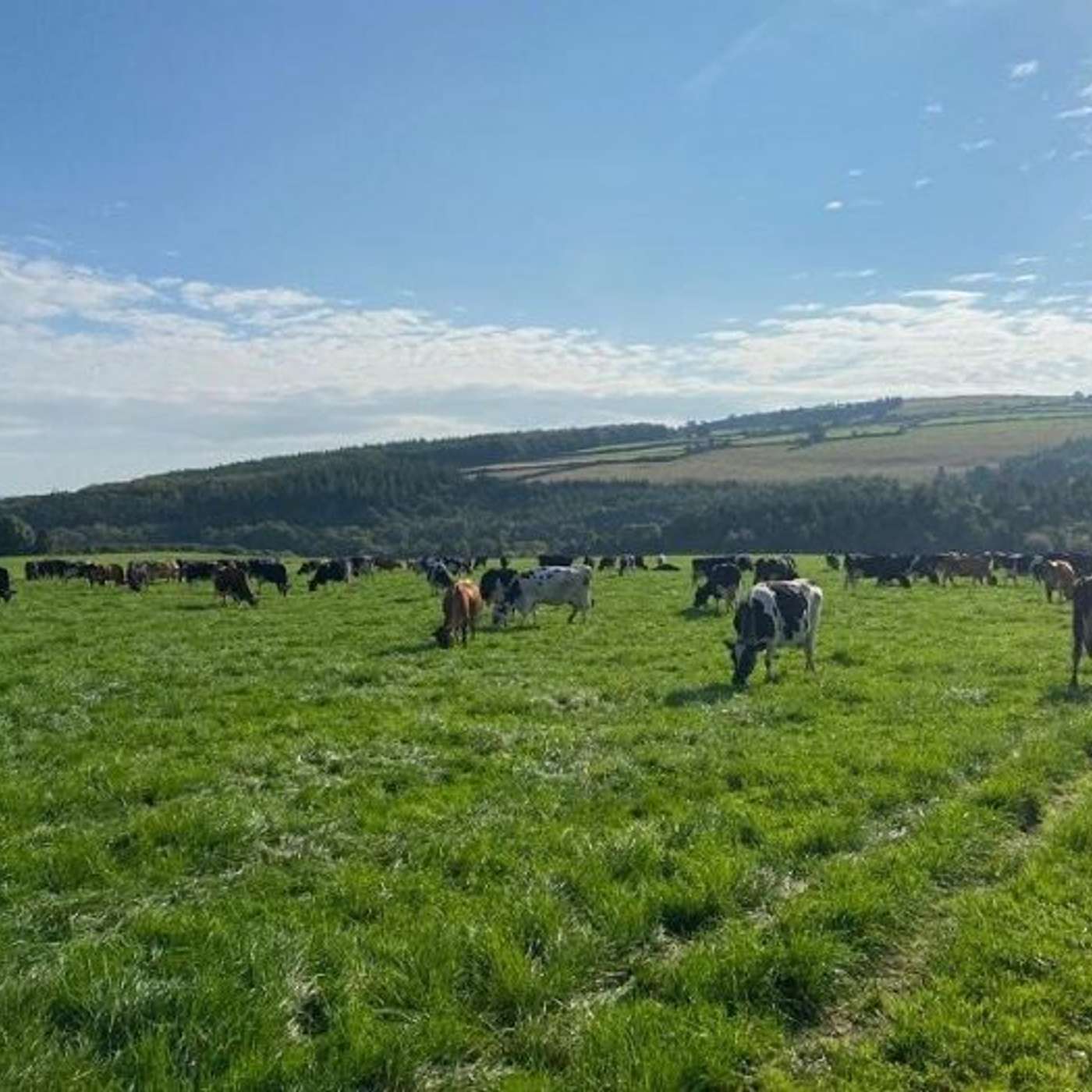 Achieving high levels of farm performance in a sustainable manner - a farmer’s perspective