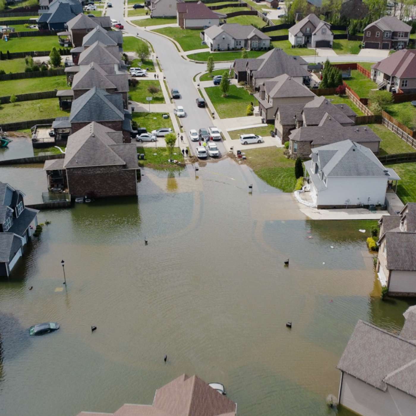 How strange water-absorbing technology could help prevent floods episode artwork