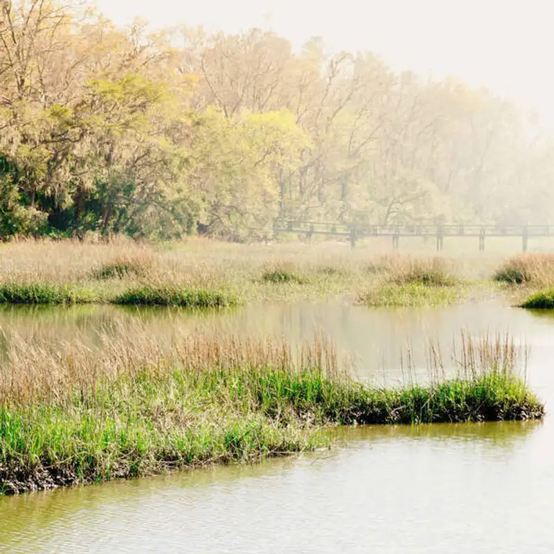Tudo o que você precisa saber sobre South Carolina!