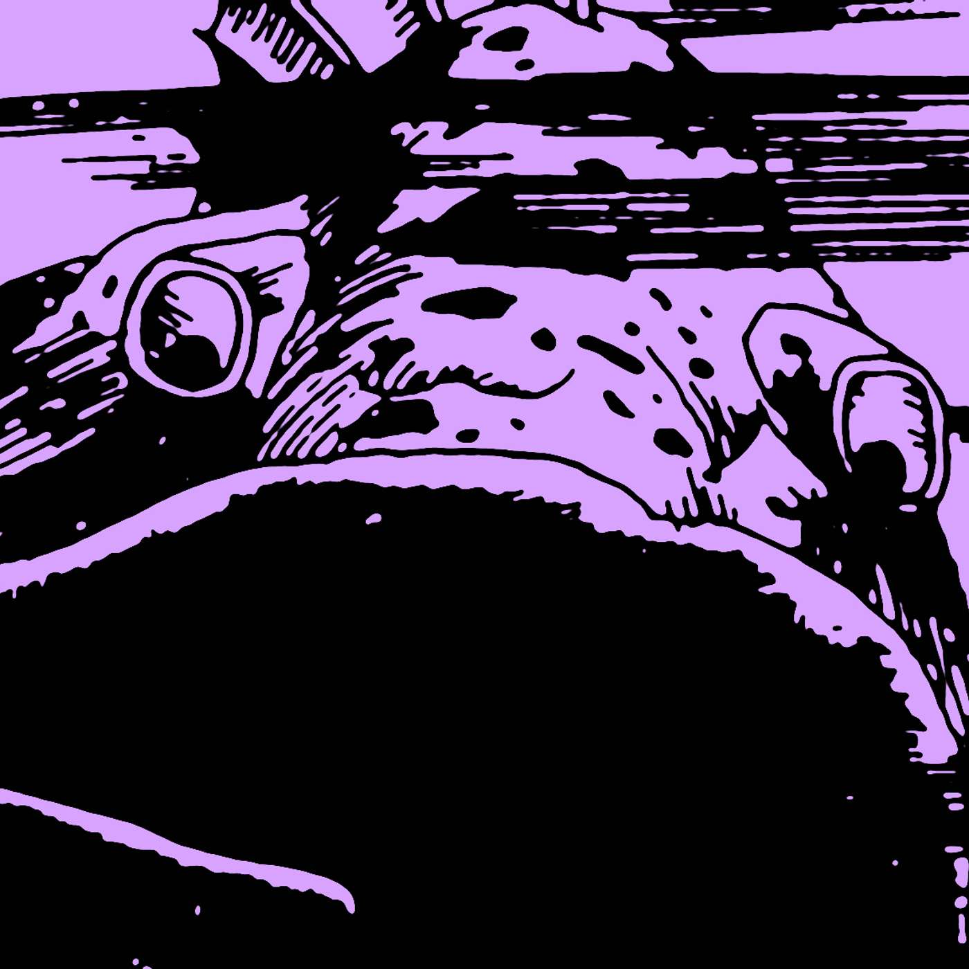 Ep. 134. Journey Under the Sea: Week Ten Hundreds of Horses