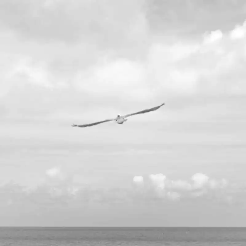 Dreamer ou Thinker, você precisa saber falar sobre isso em inglês.