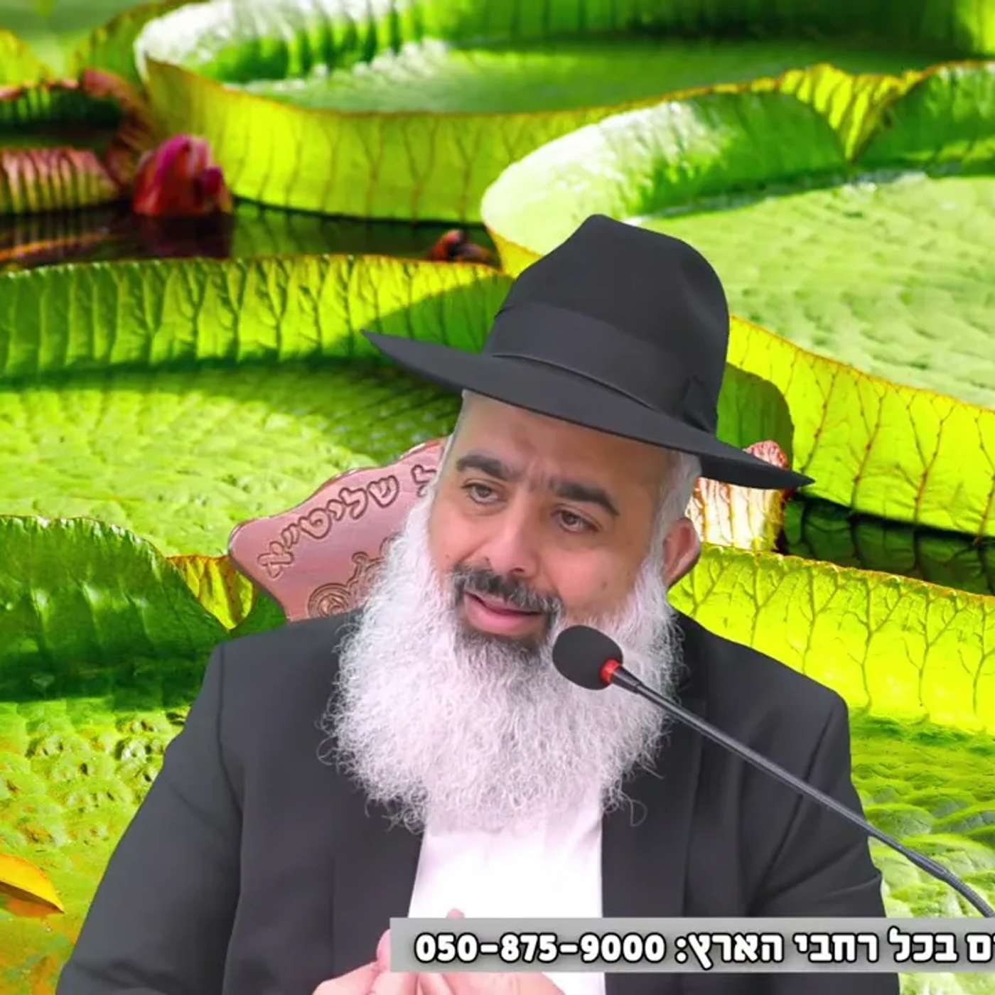 המאיר לעולם כולו💥סיפור מרתק לכבוד הילולת הצדיק רבי מאיר מדז'יקוב זצ"ל בעל ה"אמרי נועם" 💥 ח תמוז episode artwork