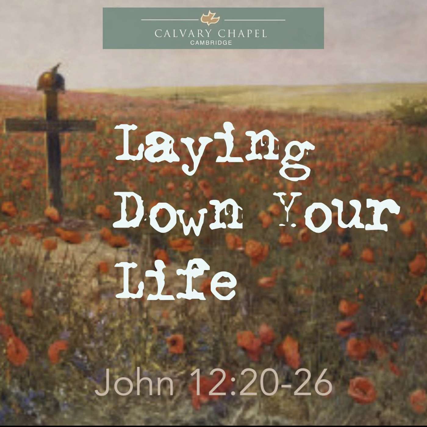 Laying Down Your Life