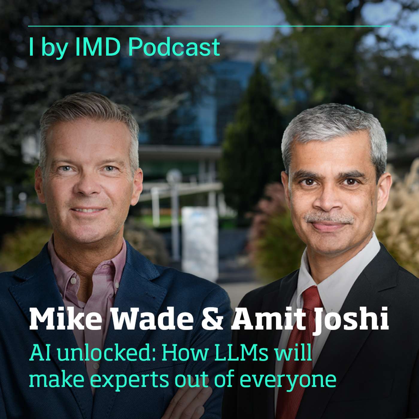 AI unlocked: How LLMs will make experts out of everyone