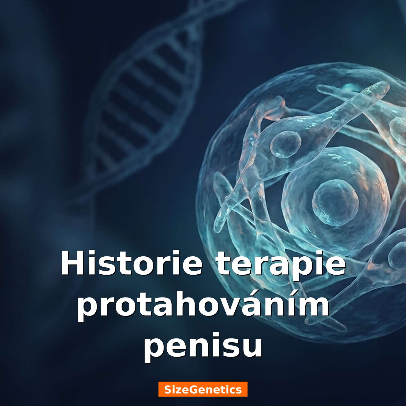 Historie terapie protahováním penisu | SizeGenetics episode artwork