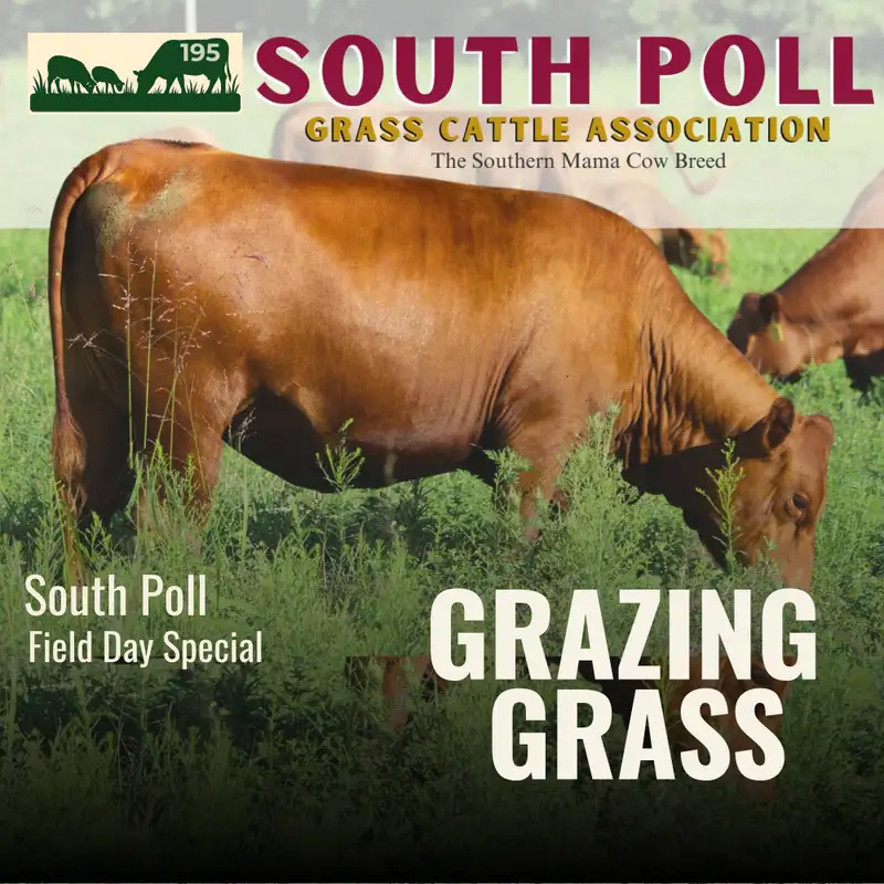 195. South Poll Field Day Special: Real Ranchers, Real Results