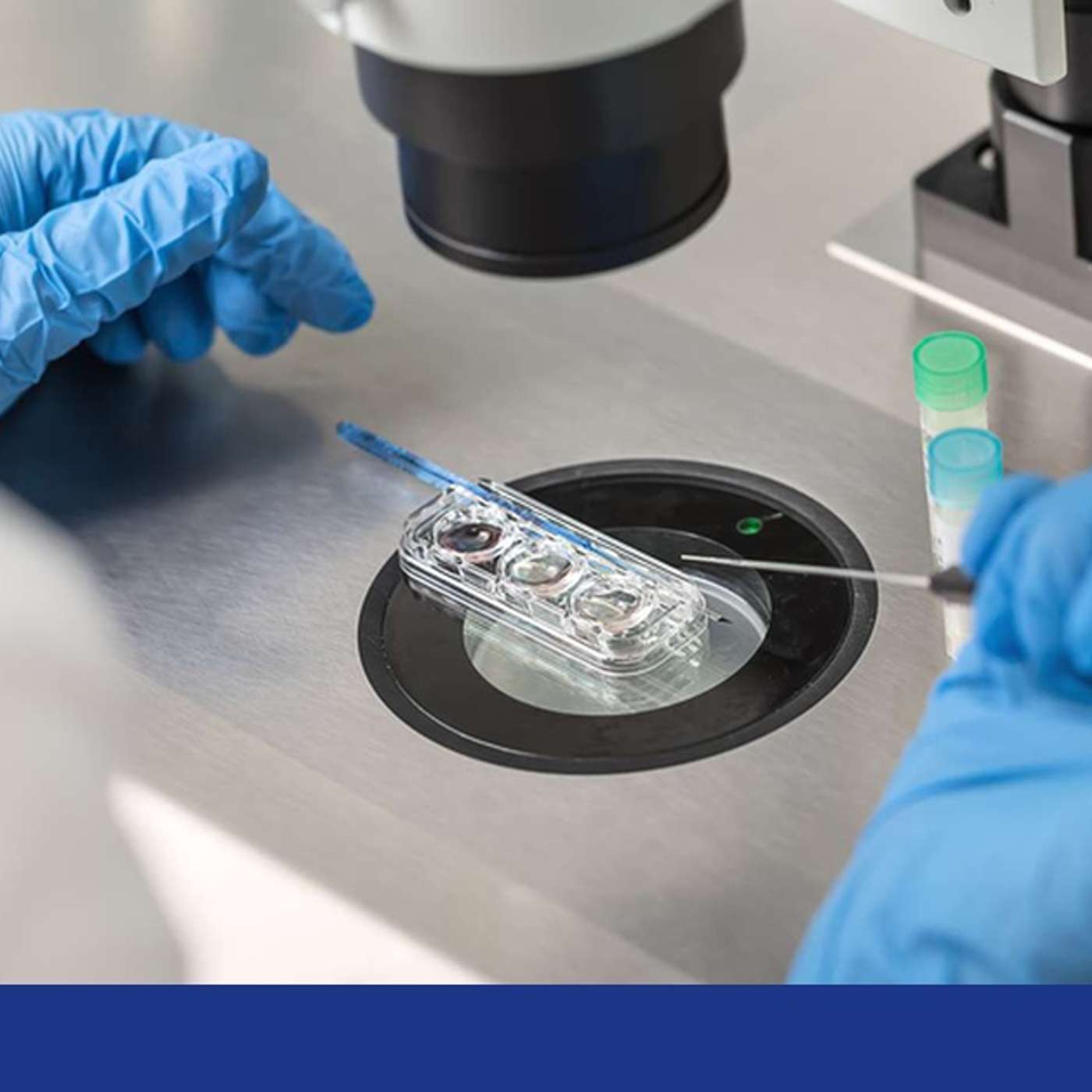 Scientists Create Human Eggs, Trump Launches AI Cancer Initiative, Psilocybin Risks for Postpartum, Rare Juvenile Great White, and more...