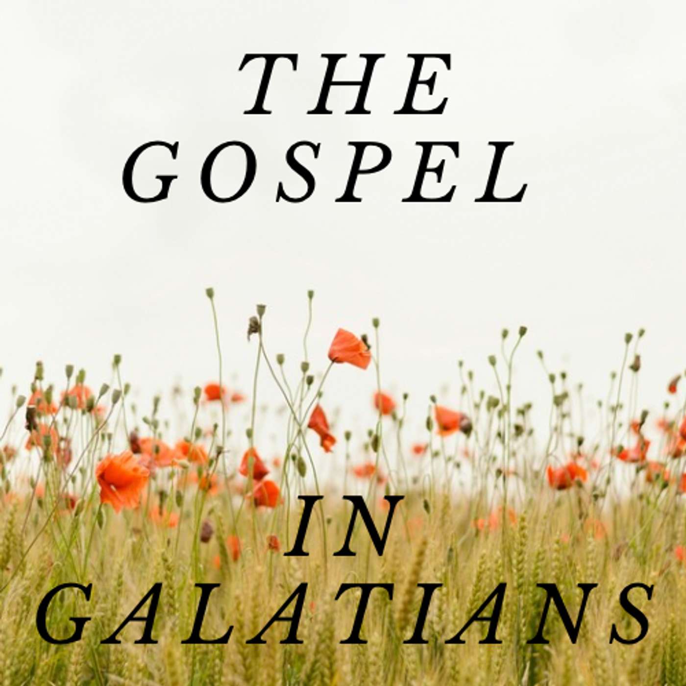 Gospel-Centered Unity episode artwork