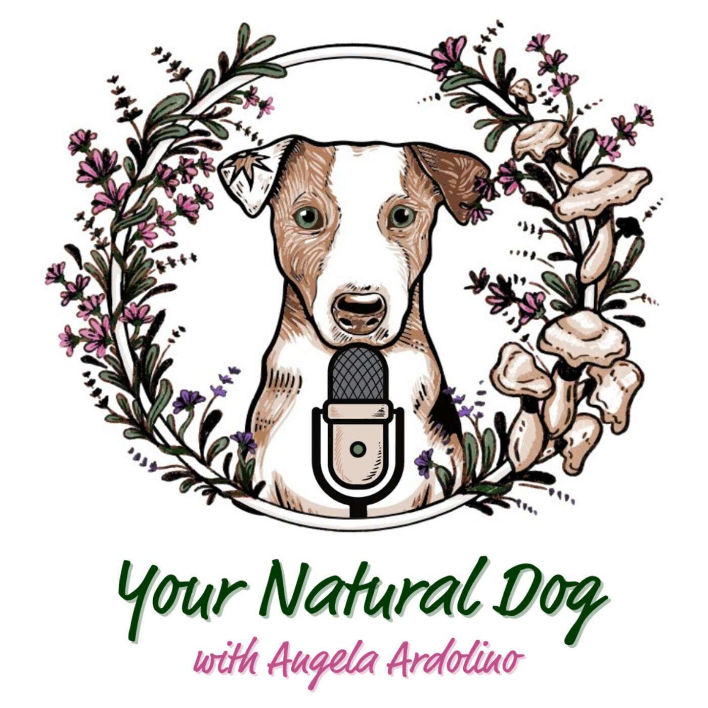 Your Natural Dog with Angela Ardolino - Formerly It\'s A Dog\'s Life