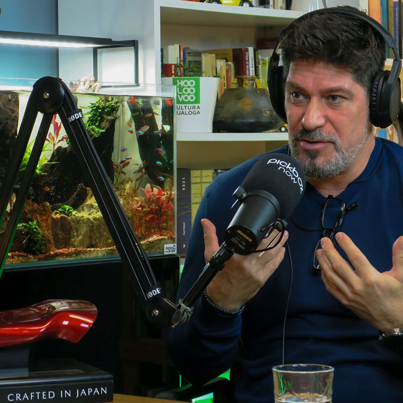 YU Grupa, 53 godine postojanja, dokumentarni film, Petar Jelić i Darko Lungulov Agelast 205