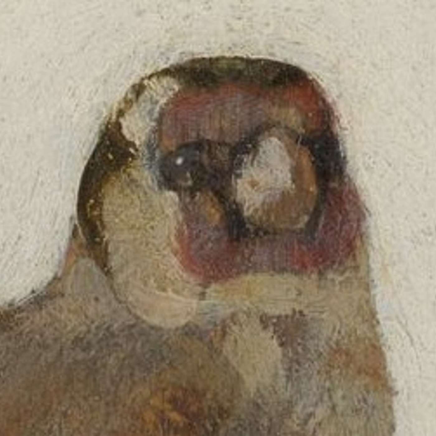 De ‘vriendjes’ van het Puttertje