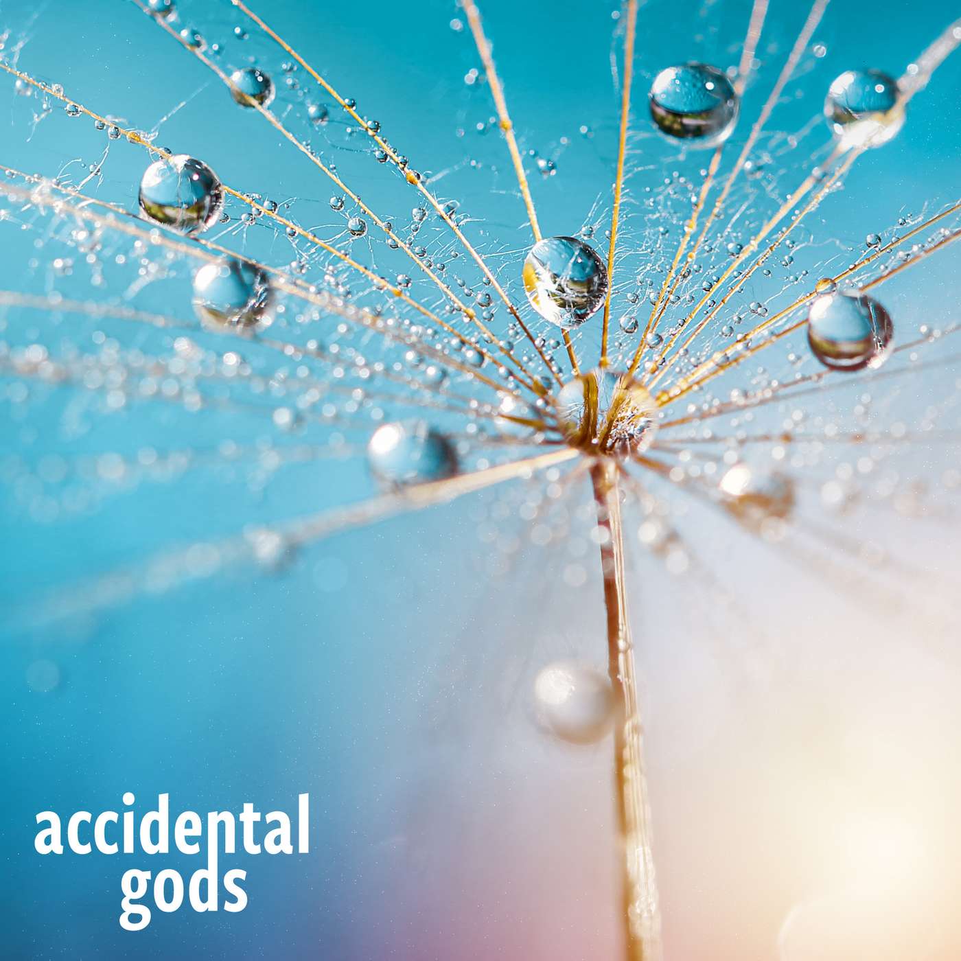 Healthy Human Culture: Diving deep into ourselves, each other and the world, with Sophy Banks