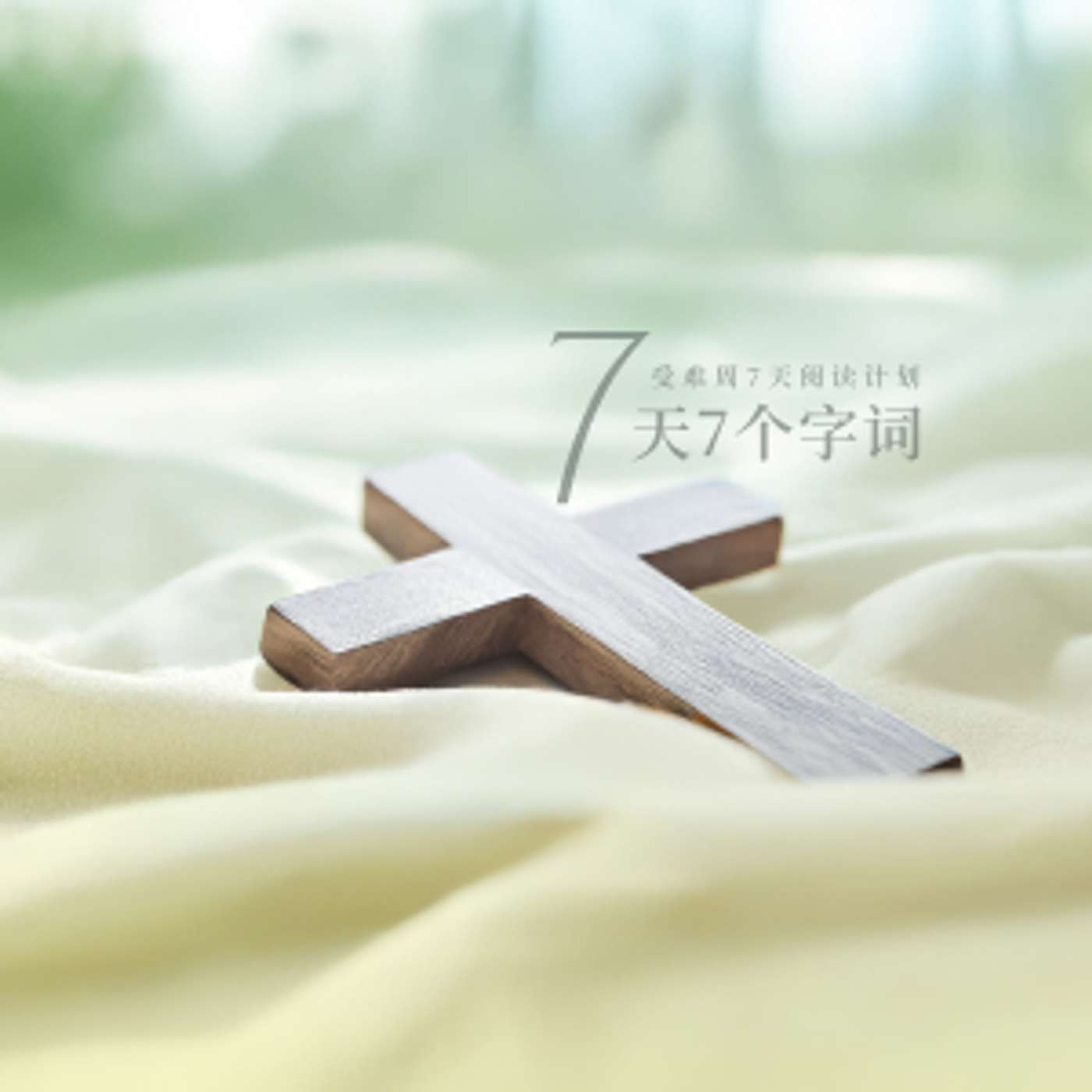 受难周7天阅读计划 : 第1天 和散那 episode artwork