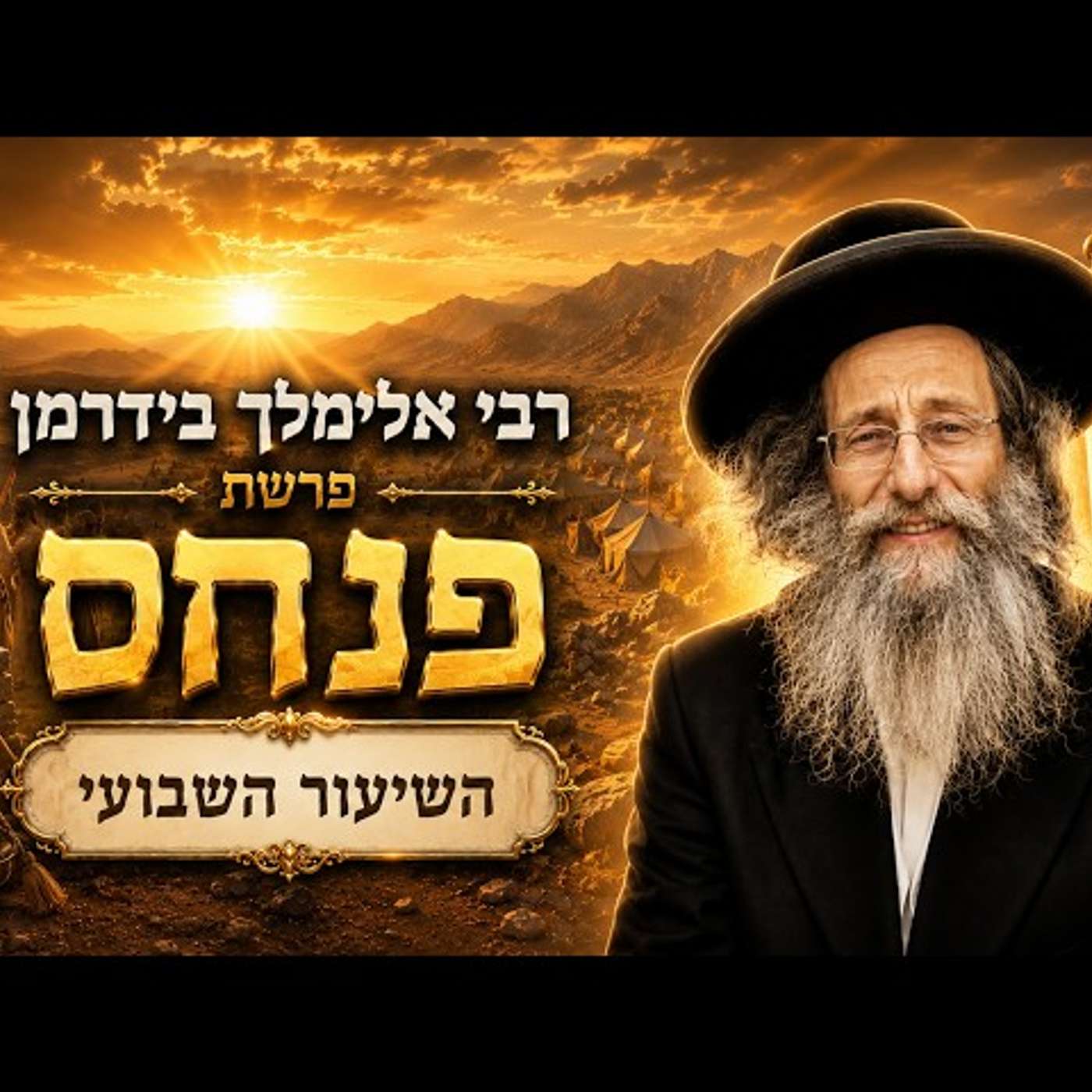 הרב אלימלך בידרמן | פרשת פנחס תשפ"ו (2026) | עלונימייל episode artwork