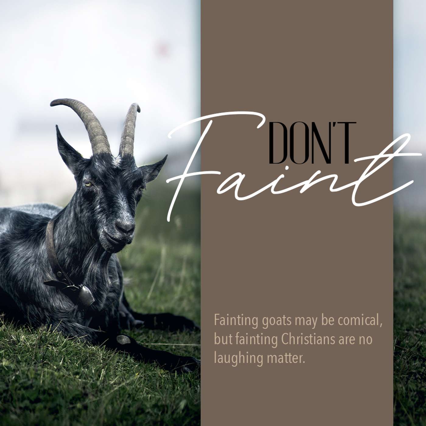 Don’t Faint!