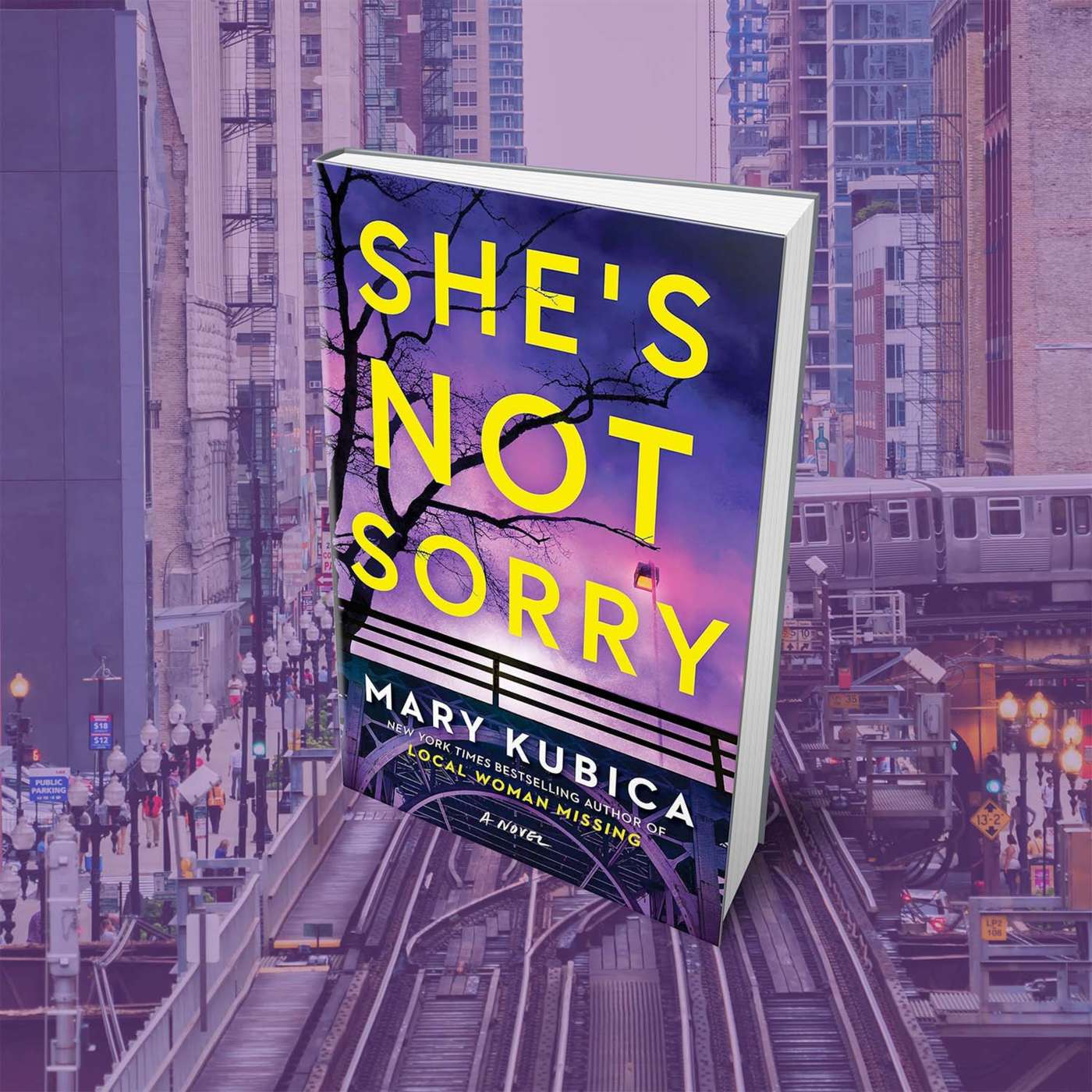 Books Read: She's Not Sorry by Mary Kubica episode artwork