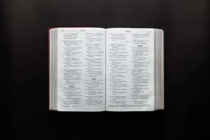 Ein forvitnislig ferð gjøgnum bíbliuna