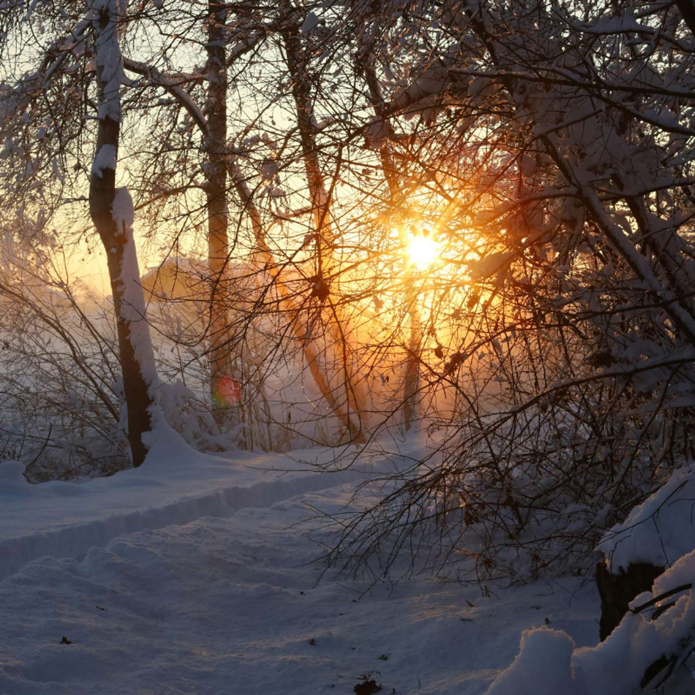 Karmels hage på St Rita Radio