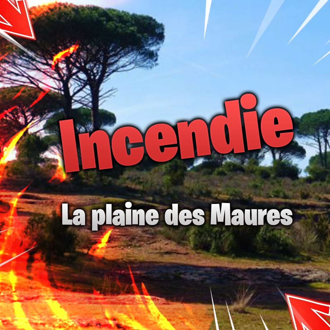 Les capsules du dehors | Incendies, l'exemple du massif des Maures episode artwork